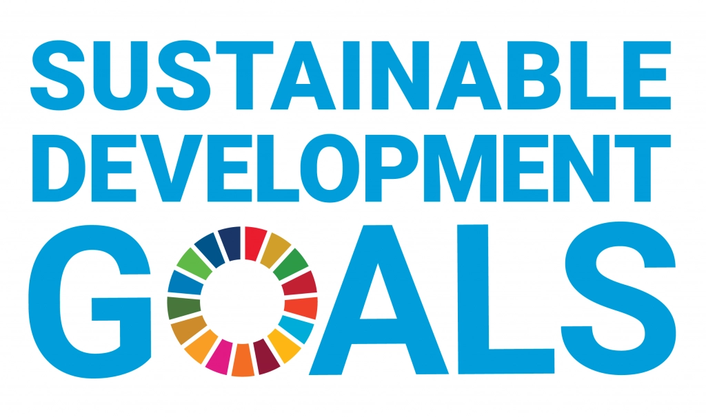 The Sustainable Development Goals cover from the original project portfolio
